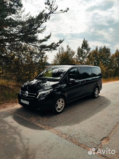 Аренда минивэн микроавтобус Mercedes v-class