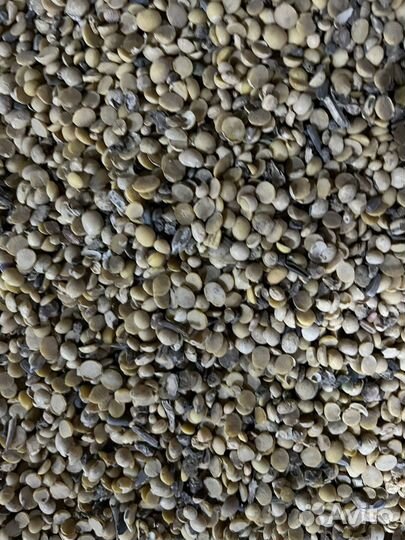 Соя половинки