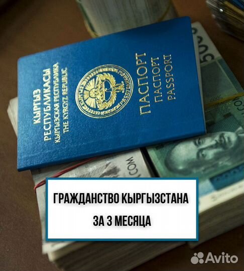 Помощь в получении гражданства Киргизии