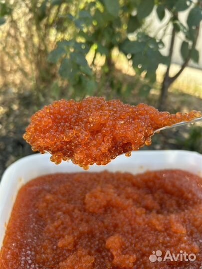 Красная икра