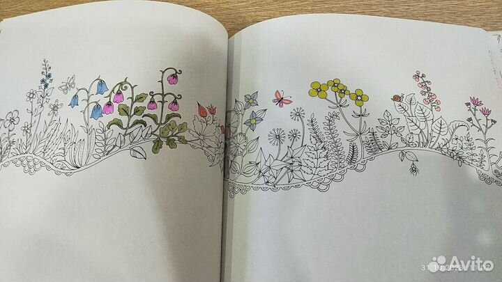 Раскраска Джоанна Бэсфорд 