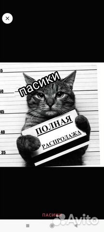 Пасики для магнитофона набор 30шт