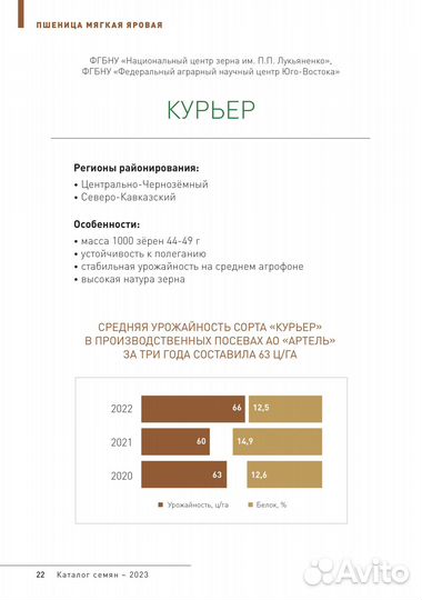 Семена яровой пшеницы рс1