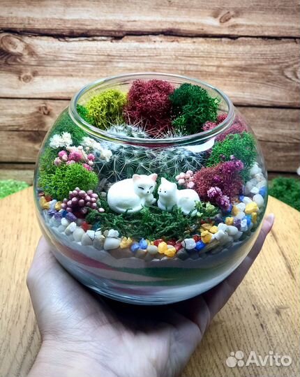 Флорариум с фигурками котиков