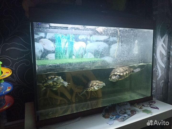 Террариум для черепах