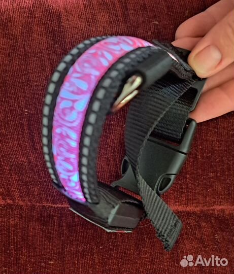 Ошейник для маленькой собаки
