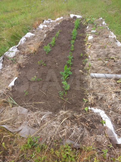 Участок 2 га (СНТ, ДНП)