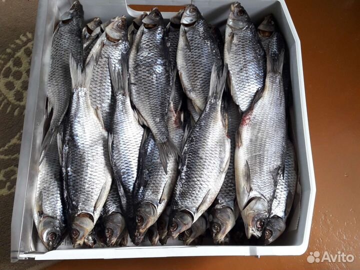 Плотва вяленая отборная.Высший сорт