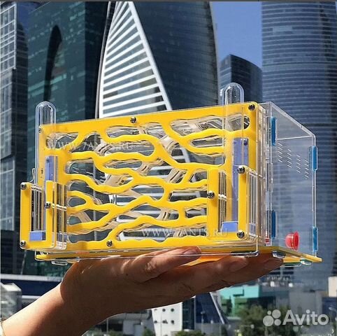 Муравьиная ферма Мегаполис