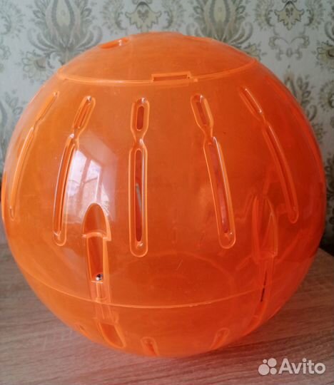 Прогулочный шар для грызунов