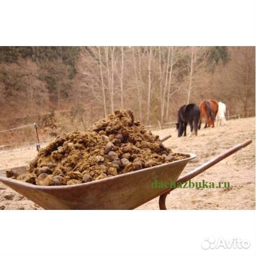 Навоз, перегной в мешках