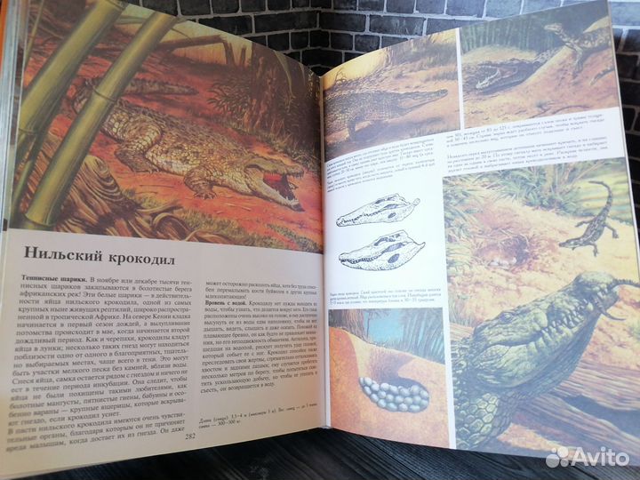 Тайная жизнь животных (Попурри 1999 год)