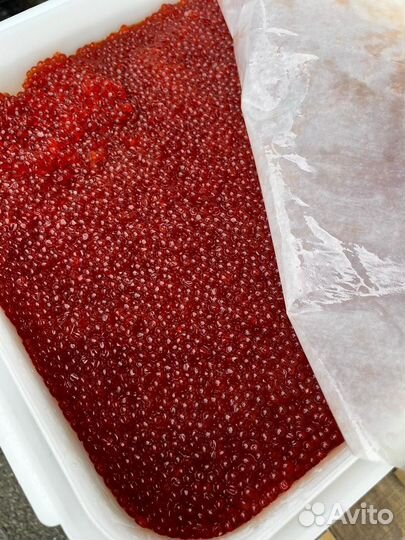 Красная икра кижуч
