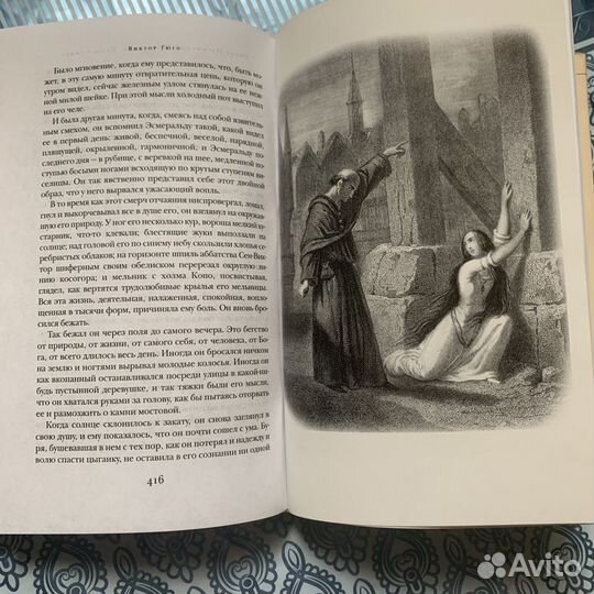 Книга Виктор Гюго - Собор Парижской Богоматери