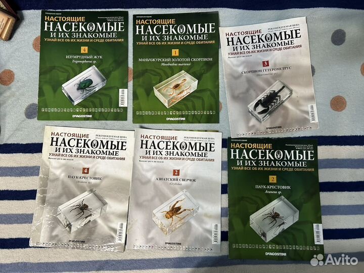 Журналы Настоящие насекомые и их знакомые