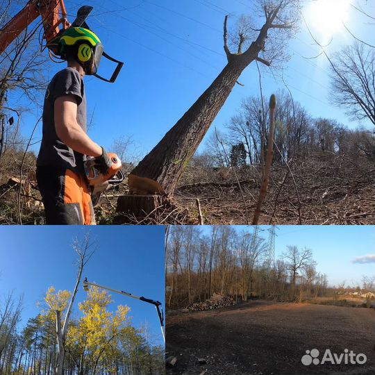 Спил деревьев Расчистка участка
