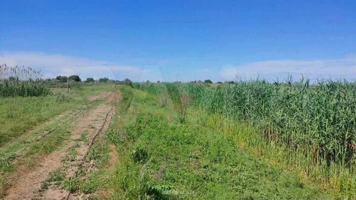 Участок 1,18 га (СНТ, ДНП)