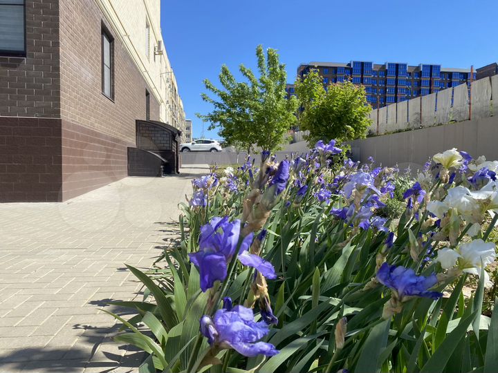 Свободного назначения, 20 м²