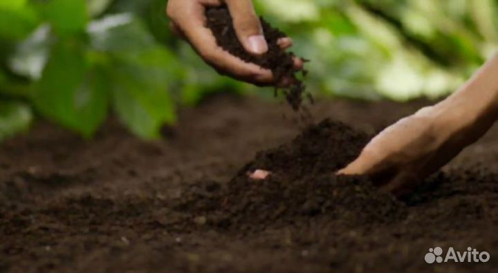 Грунт для теплиц