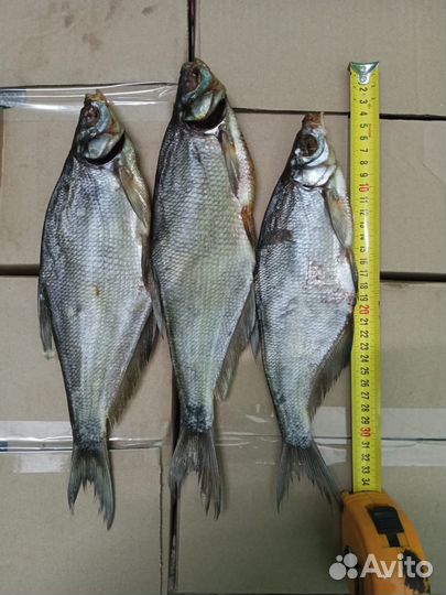 Вяленая рыба