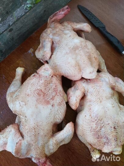 Мясо бройлера