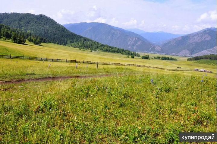 Участок 40 сот. (СНТ, ДНП)