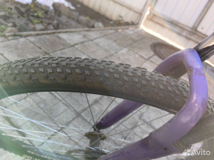 Forward sporting 29 2.0 disc