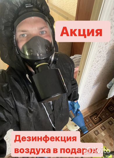 Потравить насекомых клопов тараканов