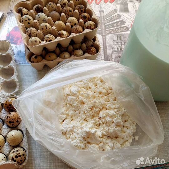 Продам козье молоко(масло, сметана, творог, сыр)