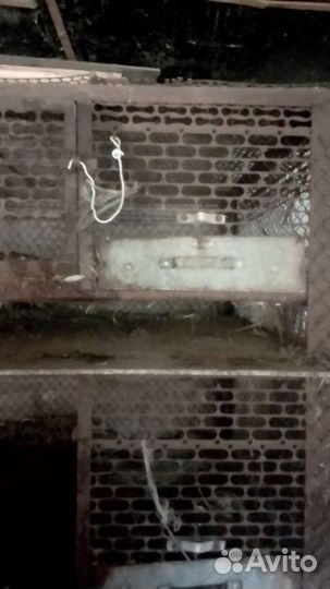 Клетка для нутрий или кроликов 208*158*100