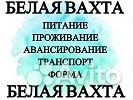 Работник/ца на производство Вахта г. Брянск