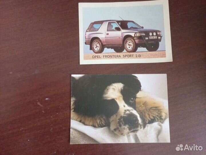 Пудель календарь 1995 г и др