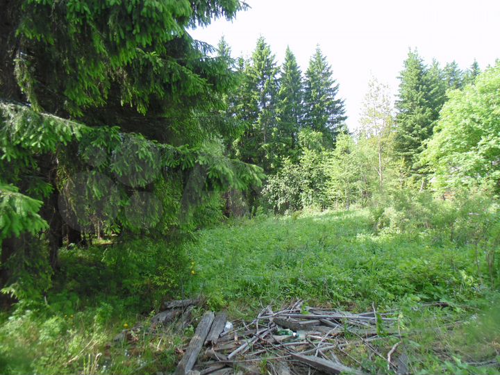 Участок 21 сот. (ИЖС)