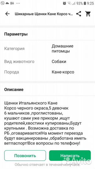 Щенки коне корсо
