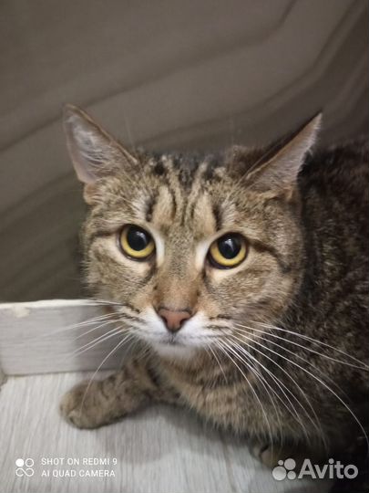 Лизоньке некуда идти через 2 дня