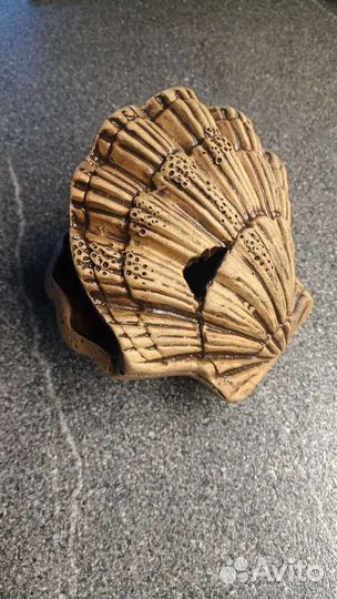 Аквариумный мох, водоросли, улитки, рыбки