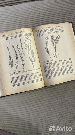 С. Г. Сааков Оранжерейные и комнатные растения