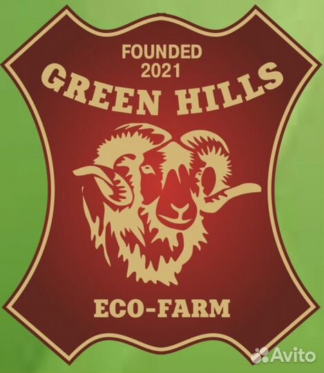 Бараны и ярки на племя