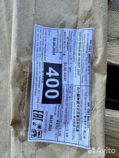 Палтус морской размером 1+ и 1