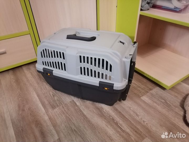 Пти брабансон