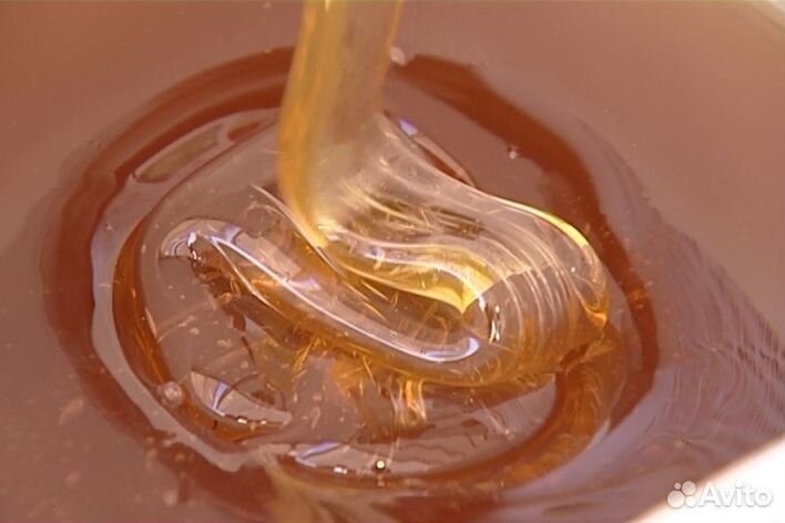 Мёд натуральный с Алтая оптом min 16kg