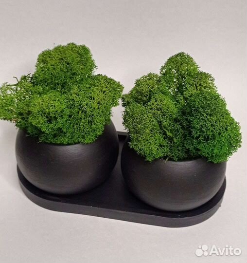 Декор со стабилизированным мхом