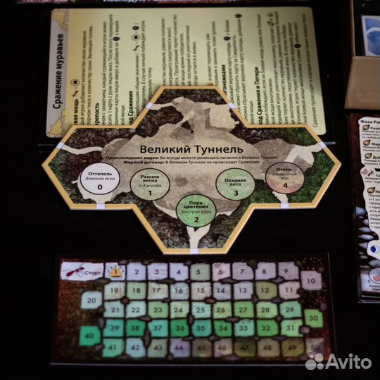 Настольные игры