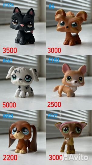 Littlest Pet Shop lps кошки собаки кролики