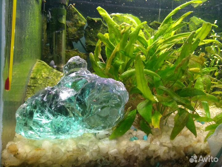 Стеклянные Камни для аквариума.эрклез