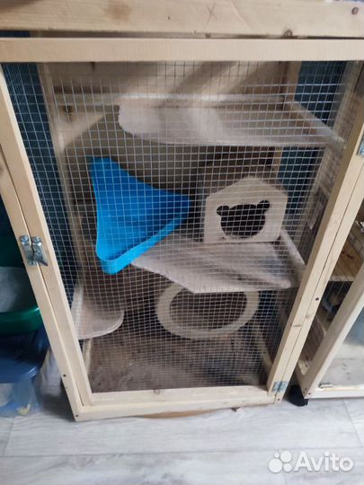Витрина для грызунов