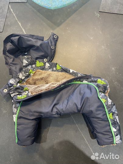 Одежда для собак