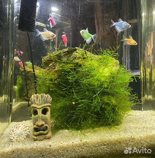 Декор грот Полинезийская маска