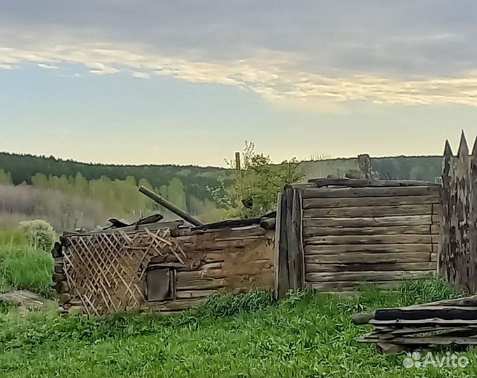 Дрова бесплатно самовывоз