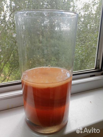 Чайный гриб